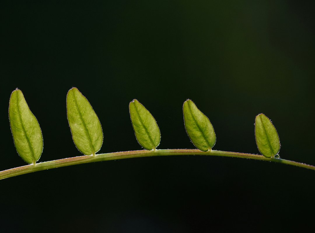 Yard Designs Kdagardenation