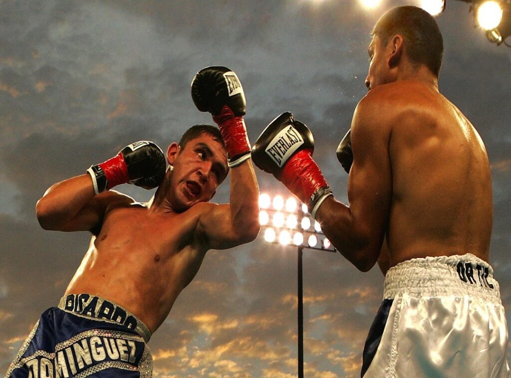 boxing mega888 logo png