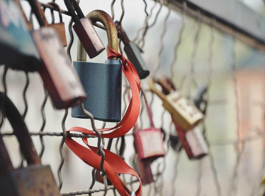 The Search After Freedom: Navigating a New Reality